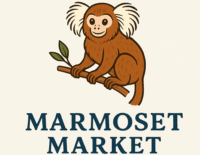 Marmoset monkey for sale